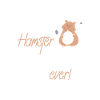 Meilleur père hamster