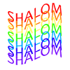 SHALOM ARC EN CIEL FLAG