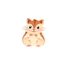 I love my hammy