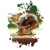 Schnecke