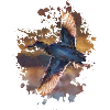Vogel