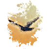 Vogel