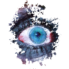 Auge