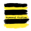 Hummel Kostüm,Hummel,Kostüm,Karneval