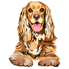 Cocker Spaniel