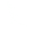 Lizard
