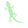 Lézard
