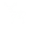 Elk
