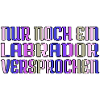 weihnachten lustiger spruch geschenkidee spruch
