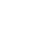 Poisson