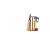 cricket