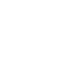 The Auntie Leprechaun