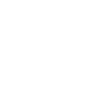 The Bossy Leprechaun