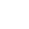 The Excited Leprechaun