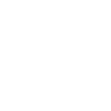 The Ginger Leprechaun