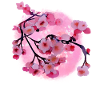 Japanese Cherry Blossom Art