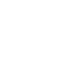 The Happy Leprechaun