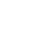 The Lucky Leprechaun