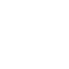The Little Leprechaun