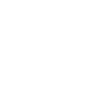 The Party Leprechaun