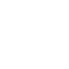 The Plant Based Leprechaun