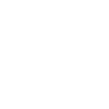The Petite Leprechaun