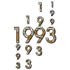 1993 Year