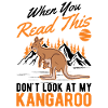 Australian Kangaroo Australia Kangaroo
