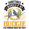 Budgerigar Gift Welli cockatiel