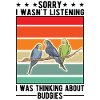 Budgerigar Gift Welli Parakeet