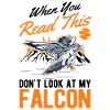 Falke Falkner Kestrel Falconry Falkner