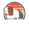 Meerschweinchen Retro Guinea Pig