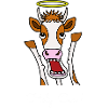 Holy Cow!,white letters