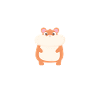I'm really a hamster