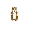 I'm really a hamster
