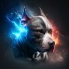 Pitbull Collection #07