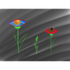 eye flowers