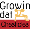 Benchpress Powerlifter Growing Chesticles Ironic