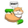 Hamster For Jenter Hamster Eier Hamster Lovers