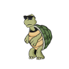 Turtle Pet | Reptile Reptile Gifts