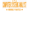 Computer Systems Analyst Hourly Wage