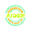 Vorname Aiden