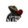 Mon lézard Valentin