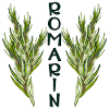 Planter le Romarin - Plantes Aromatiques - JARDIN