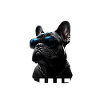 Papa chien