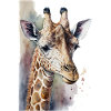 Girafe Aquarelle