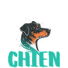 Papa chien