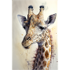 giraffe watercolour