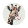 Giraffe Chewing Gum Bladder