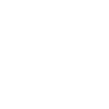 Fleurs Mandala